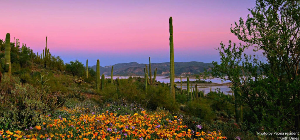 view of lake pleasant in Peoria AZ